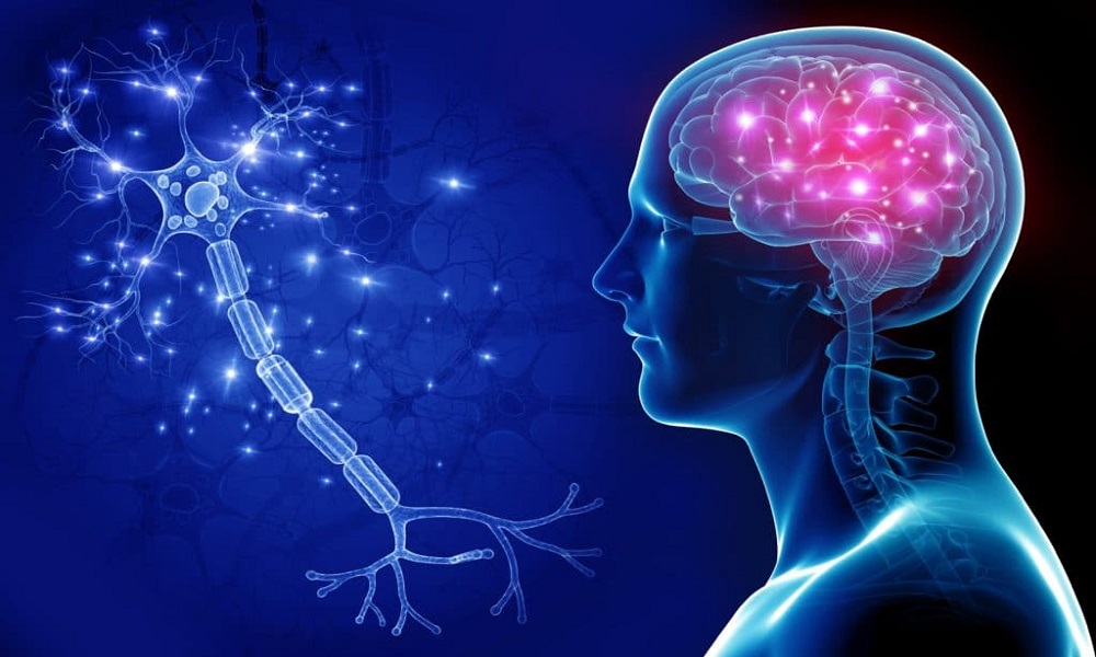Nevron: Pioneering Neurological Care